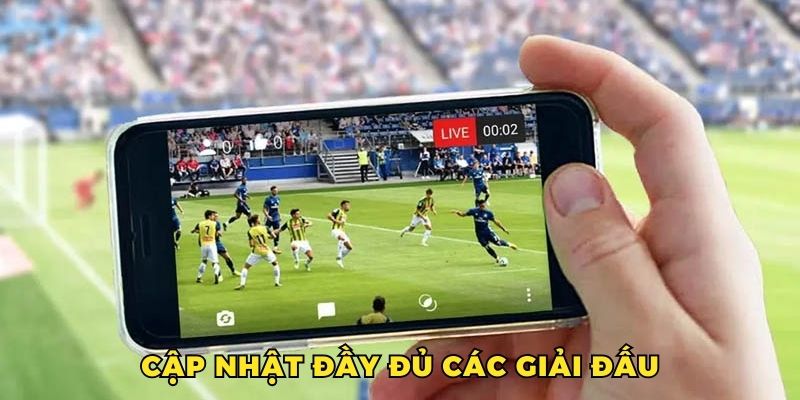 Cập nhật đầy đủ các giải đấu trên toàn cầu